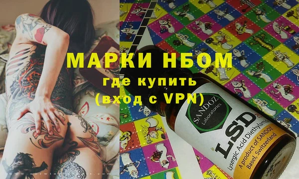 стаф Алзамай