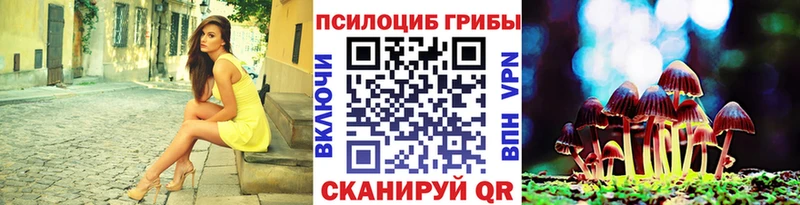 hydra ссылки  Макушино  Галлюциногенные грибы мицелий 